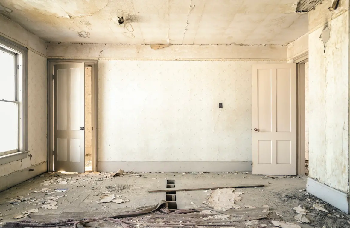 Waste disposal crew managing a cleanout project in Elberton